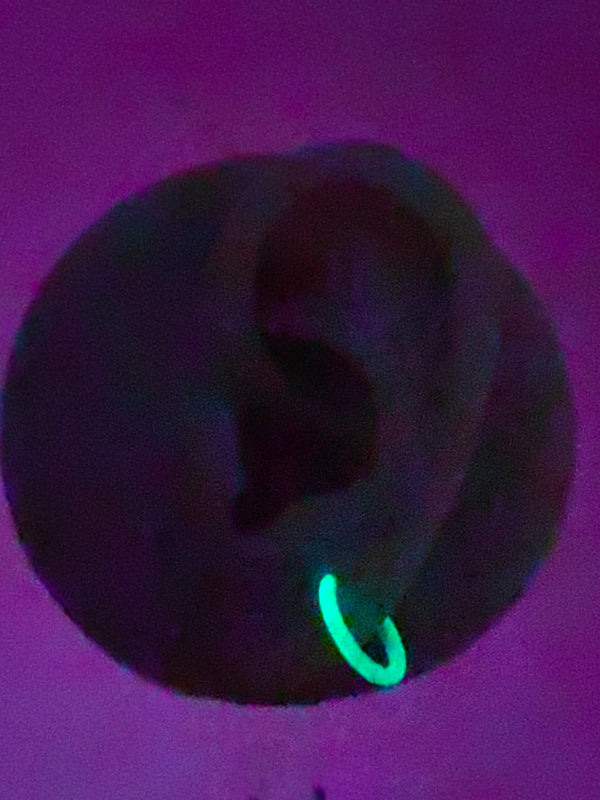 Fake Piercing Ear/Lip/Nose Piercing Multifunctional Ring Glow in the Dark